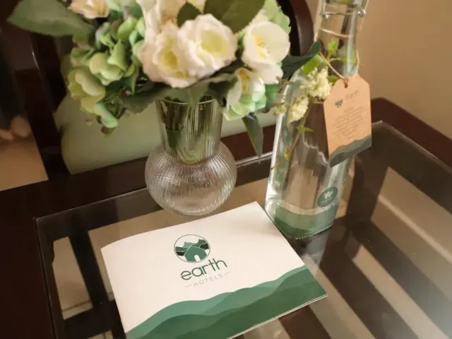 Photo 4 of 10 at Earth Hotels
